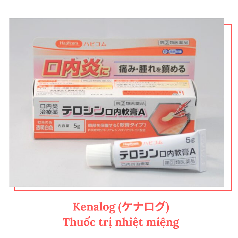 20+ loại thuốc chữa các bệnh phổ biến có bán trong các tiệm thuốc ở Nhật Bản